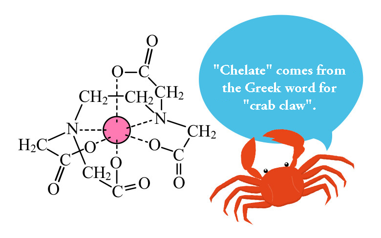 キレートの語源はカニのハサミ